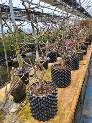 김옥균 님의 자유주제 · 사진전 작성글 사진