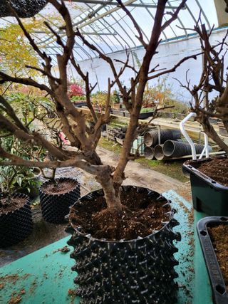 김옥균 님의 자유주제 · 사진전 작성글 사진