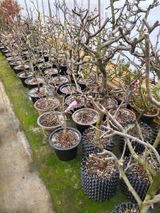 김옥균 님의 자유주제 · 사진전 작성글 사진