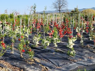 김옥균 님의 자유주제 · 사진전 작성글 사진