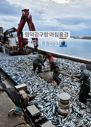 노가네수산님의 우리동네 · 동네수다 작성글 사진