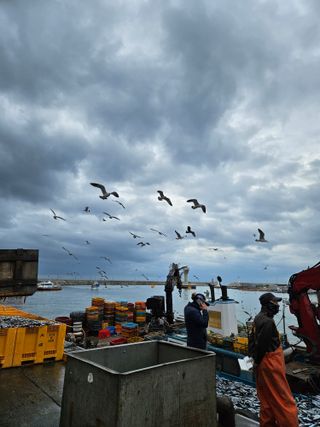 노가네수산님의 우리동네 · 동네수다 작성글 사진