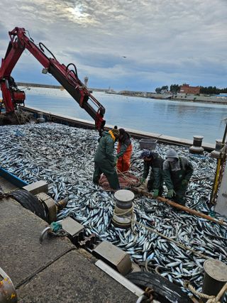 노가네수산님의 우리동네 · 동네수다 작성글 사진