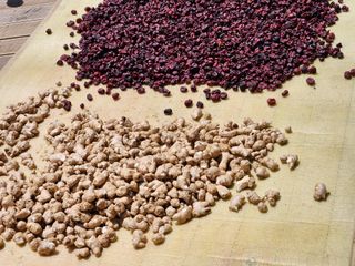 이창신님의 작성글 사진