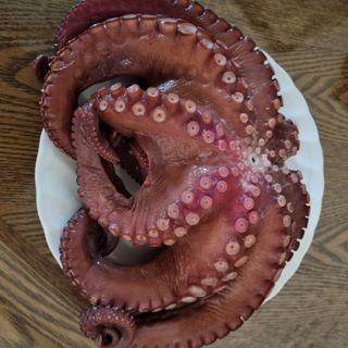 장하솜님의 최근 내가 구매한 것은? · 참여글 작성글 사진