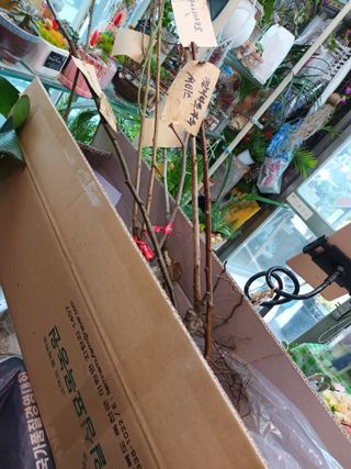 실로암농원님의 최근 내가 구매한 것은? · 참여글 작성글 사진