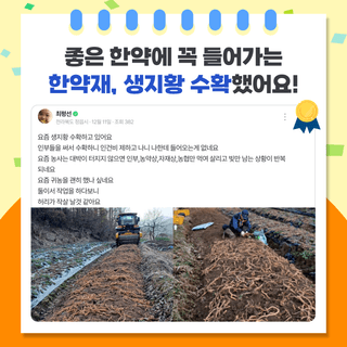 팜모닝 베스트님의 팜모닝공식 · 팜모닝 베스트 작성글 사진