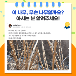 팜모닝 베스트님의 팜모닝공식 · 팜모닝 베스트 작성글 사진