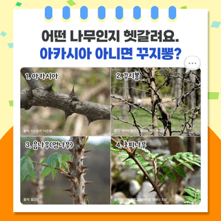 팜모닝 베스트님의 팜모닝공식 · 팜모닝 베스트 작성글 사진