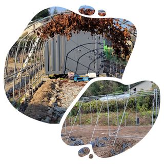 김중언님의 선도농가에 선정된 소감은? · 참여글 작성글 사진