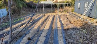 김중언님의 선도농가에 선정된 소감은? · 참여글 작성글 사진