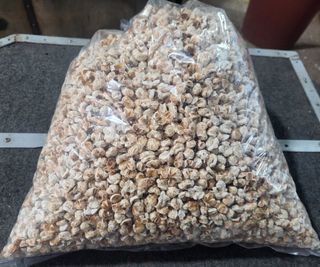 정권옥님의 옥수수 · 자유게시판 작성글 사진