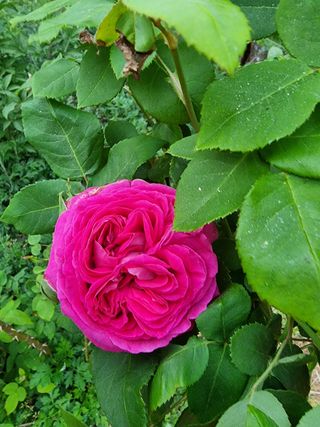 전공쇠님의 팜모닝 · 출석 작성글 사진