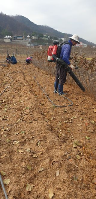 김화순님의 자유주제 · 자유게시판 작성글 사진