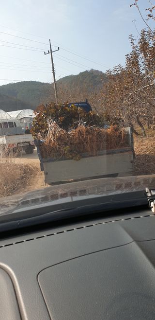김화순님의 자유주제 · 자유게시판 작성글 사진