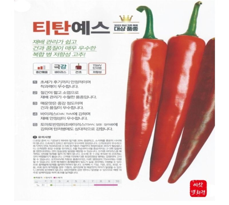 대산농사대장님의 장터 판매 상품 [흥농씨앗 티탄예스1200립 24년 햇종자  ] 첨부 사진