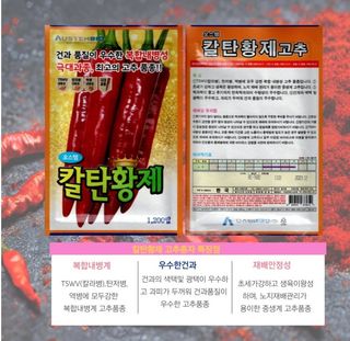 대산농사대장님의 작성글 사진