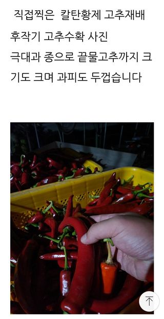 대산농사대장님의 작성글 사진