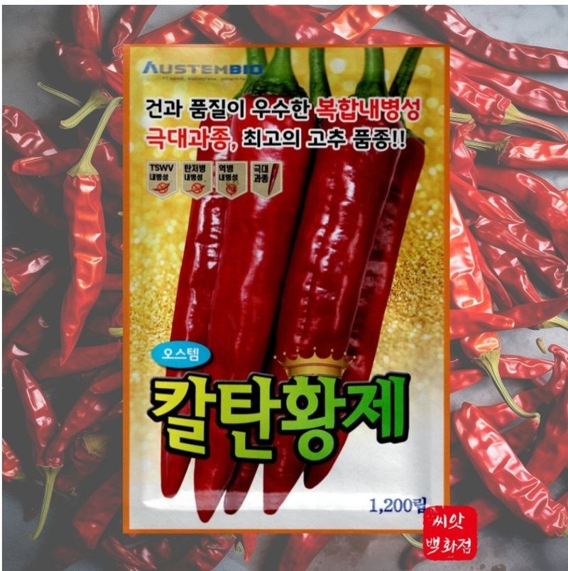 대산농사대장님의 장터 판매 상품 [칼탄황제 1200립 고추씨앗 ] 첨부 사진