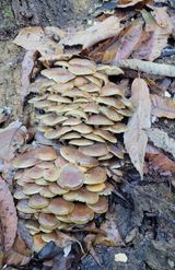 팜모닝 자유주제·자유게시판 게시글 이미지