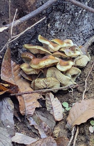 농사꾼 단비님의 자유주제 · 자유게시판 작성글 사진