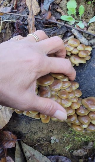 농사꾼 단비님의 자유주제 · 자유게시판 작성글 사진