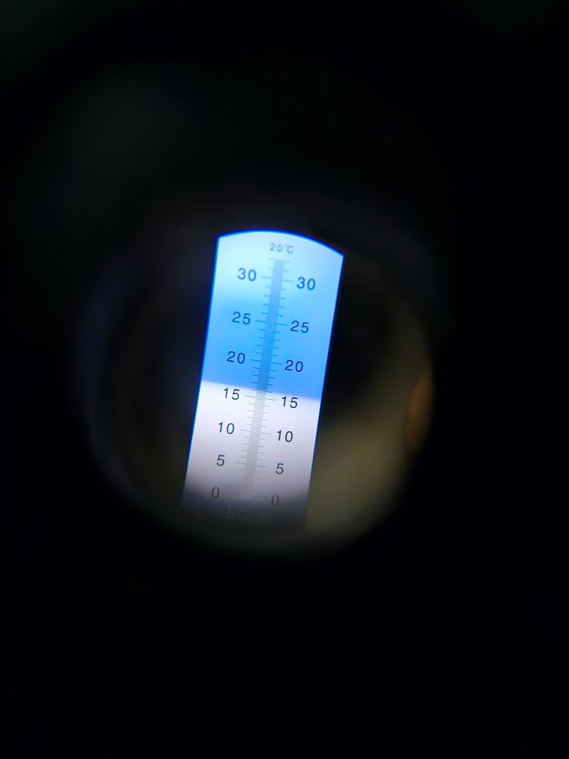 스마일님의 장터 판매 상품 [평창고랭지사과] 첨부 사진