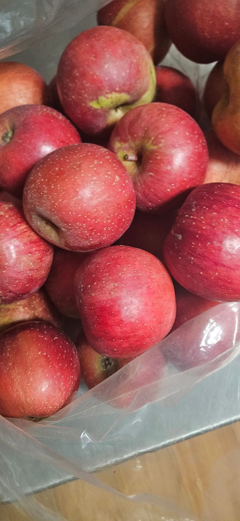 장터 상품 [평창고랭지사과] 썸네일