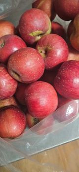 팜모닝 · 게시글 이미지