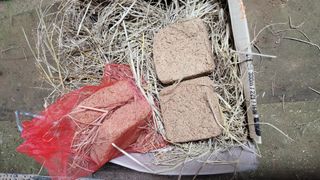 평창 배우는 농부님의 농사, 무엇이든 물어보세요! · 참여글 작성글 사진