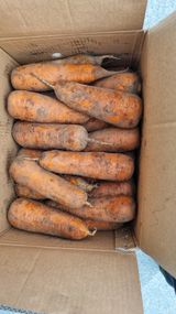 팜모닝 최근 내가 구매한 것은?·참여글 게시글 이미지