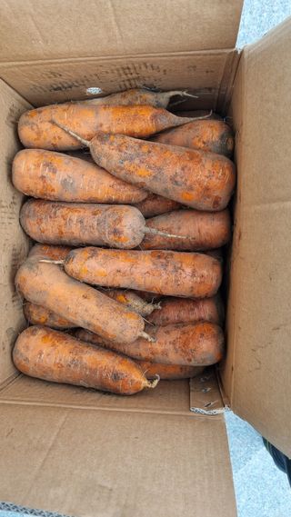 김동회증평영농조합님의 최근 내가 구매한 것은? · 참여글 작성글 사진