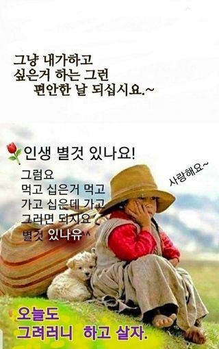 금우님의 감자 · 자유게시판 작성글 사진