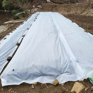 오케바리(옥경종)님의 선도농가에 선정된 소감은? · 참여글 작성글 사진