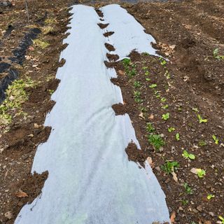 오케바리(옥경종)님의 선도농가에 선정된 소감은? · 참여글 작성글 사진