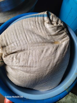 강화댁님의 자유주제 · 자유게시판 작성글 사진