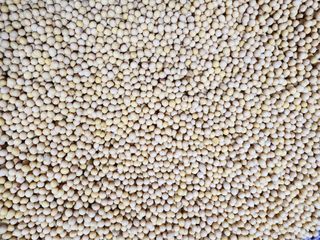 조일현님의 작성글 사진