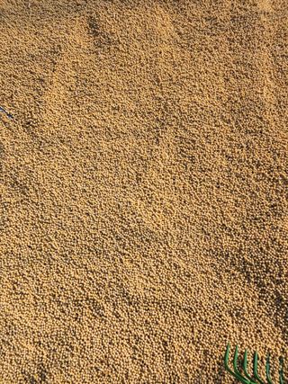 조일현님의 작성글 사진