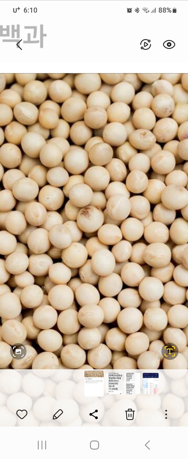 조일현님의 장터 판매 상품 [종자용 메주콩 1kg] 첨부 사진