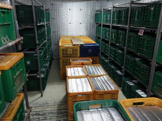 파머스팜X유성천마님의 기타작물 · 자유게시판 작성글 사진