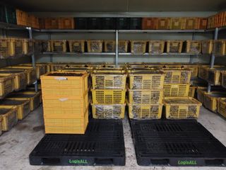 파머스팜X유성천마님의 기타작물 · 자유게시판 작성글 사진