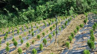 문혜농원님의 자유주제 · 자유게시판 작성글 사진