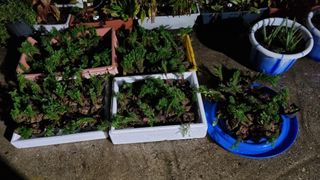 문혜농원님의 자유주제 · 자유게시판 작성글 사진