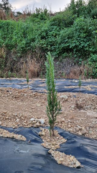 문혜농원님의 자유주제 · 자유게시판 작성글 사진