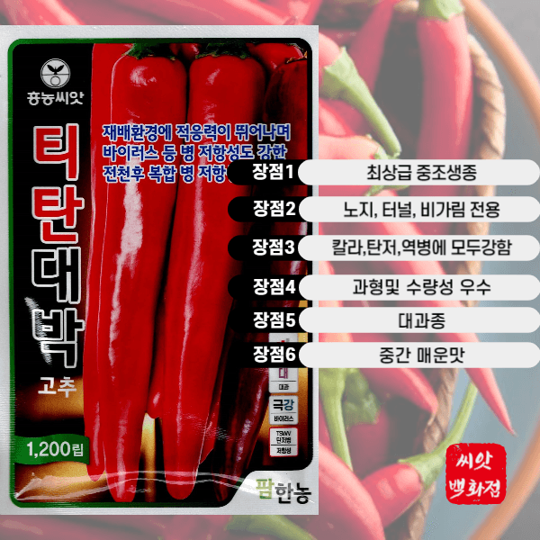 대산농사대장님의 장터 판매 상품 [흥농씨앗 티탄대박 할인행사] 첨부 사진