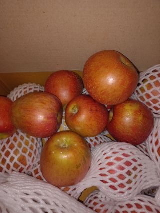 최유순님의 최근 내가 구매한 것은? · 참여글 작성글 사진