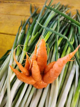 딸기12797님의 최근 내가 구매한 것은? · 참여글 작성글 사진