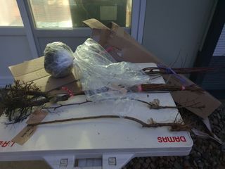 루첸님의 최근 내가 구매한 것은? · 참여글 작성글 사진