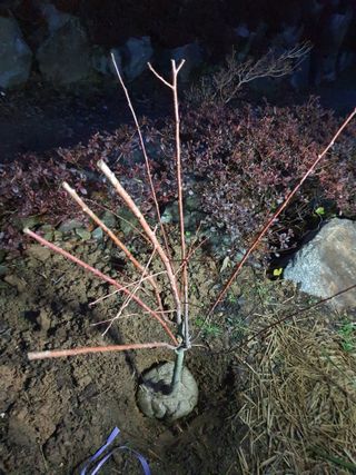 루첸님의 최근 내가 구매한 것은? · 참여글 작성글 사진