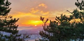 최도윤(중고농기계)님의 최근 내가 구매한 것은? · 참여글 작성글 사진